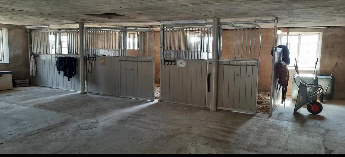Stallplass! — bilde 5