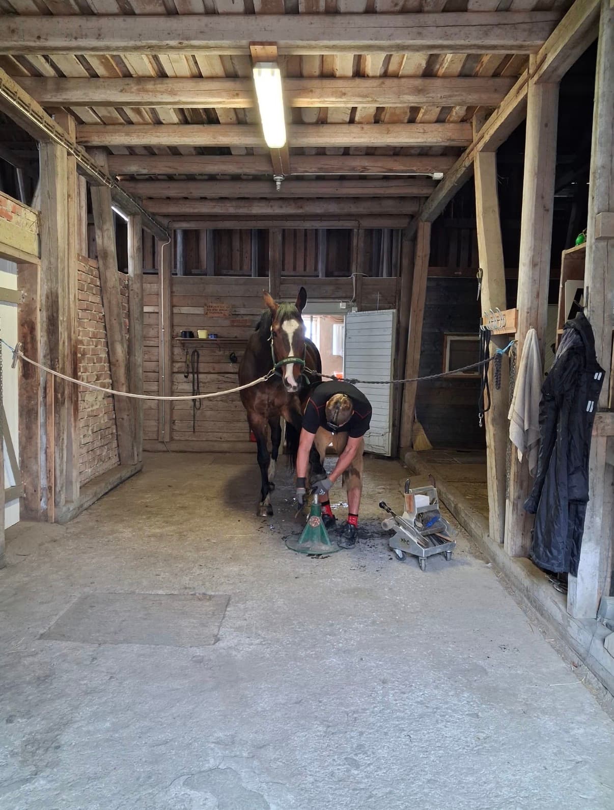 Stallplass! — bilde 4